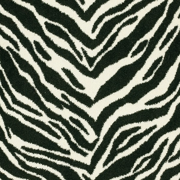 Cape Town Collection Zebra